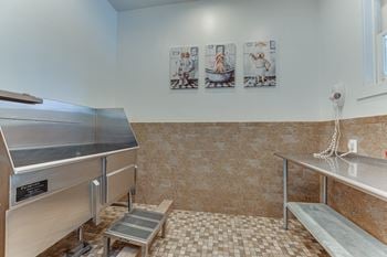 Pet spa